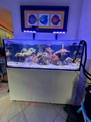 Red Sea Reefer 525 XL