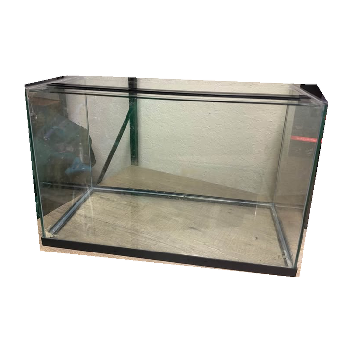 10 Gallon Tank