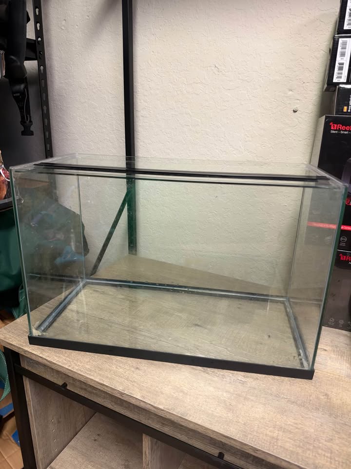 10 Gallon Tank