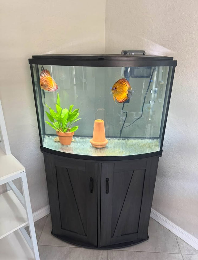 36 Gallon Bowfront - Shop Market Deals