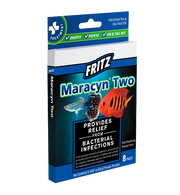 Fritz Maracyn Two medication for fish health, shown in a clear bottle with label, used for treating bacterial infections in aquarium fish.